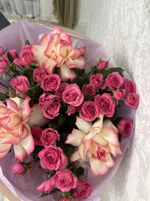 Розы нежный розовый