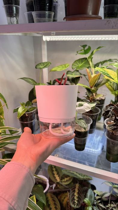 Горшки с фитильным поливом