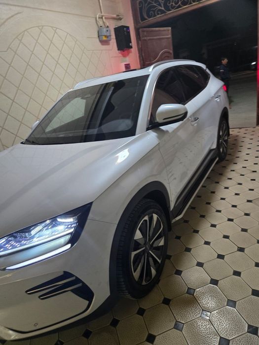 BYD CHAMPION restaylin