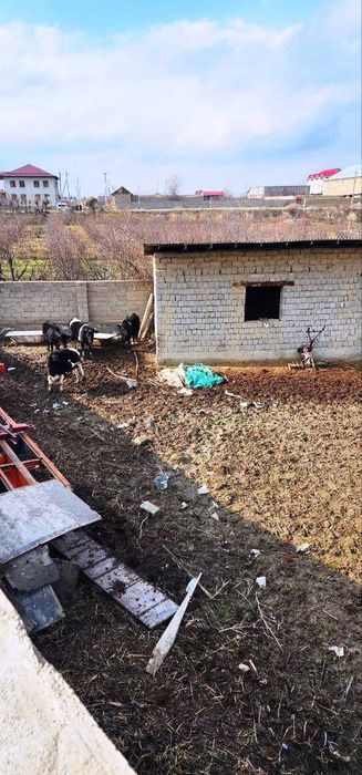 Не жилое помещение 40 сотых в дол трассы Самарканд - Карши