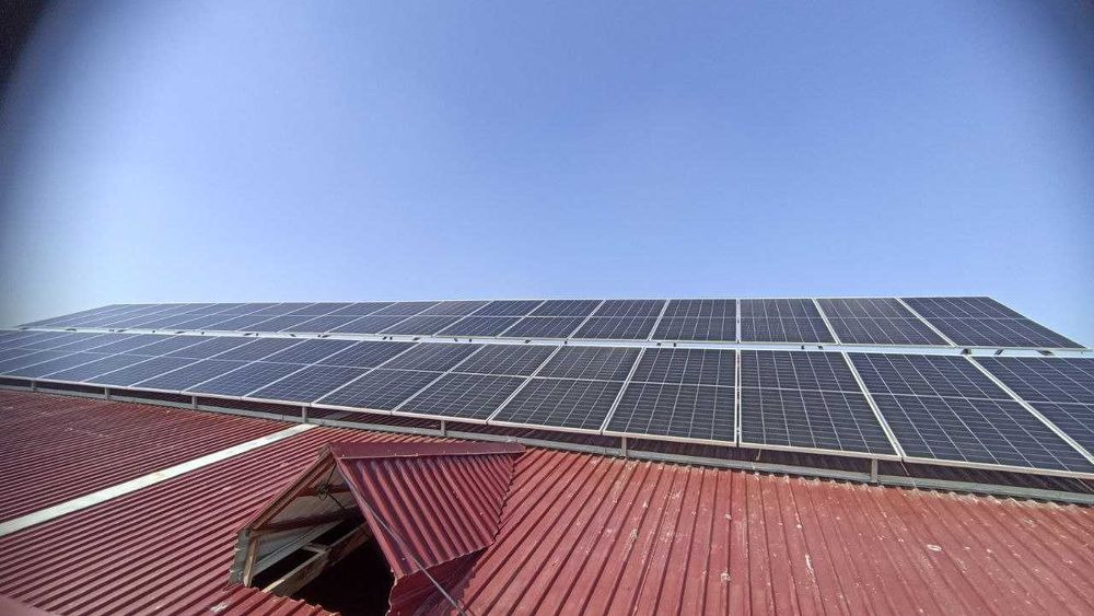 Quyosh paneli optom, Солнечная панель оптом Jinko, Longi, Era Solar