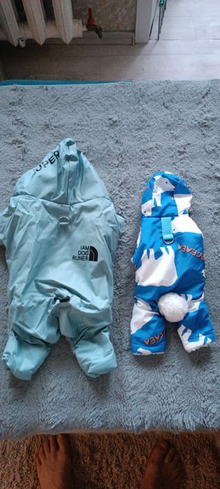 Одежда для собак