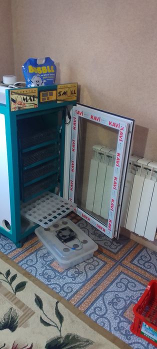 Инкубатор балапан