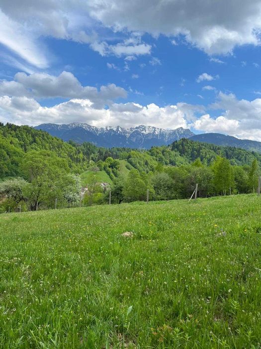 PROPRIETAR - 3274 mp intravilan Simon (BRAN)