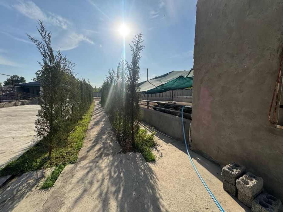 Продается готовый бизнес ферма