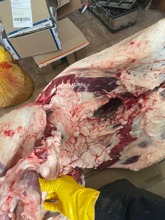 Табақтап семіз байталдын еті сатылады