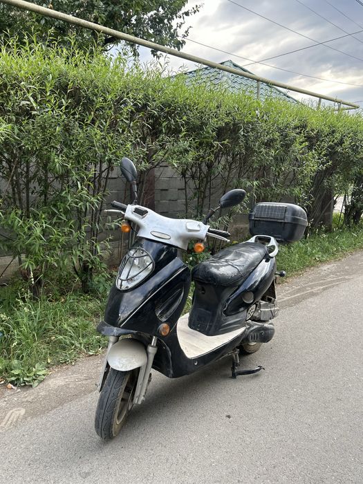 Racer Sagitta 50