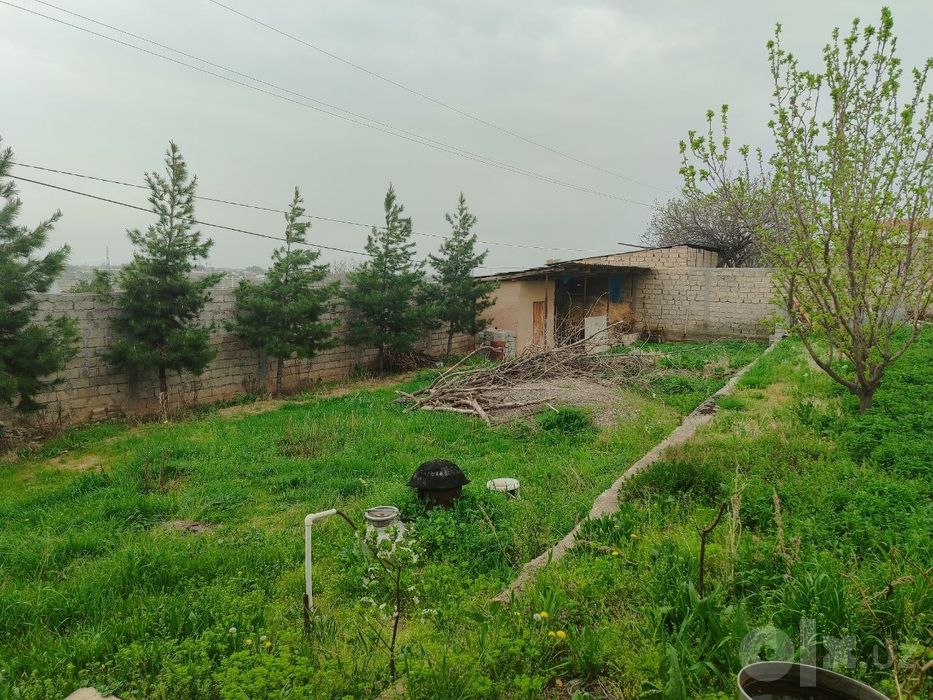 Продам свою дачу срочно