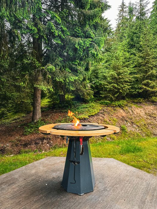 Cabana Muntii Apuseni, Cabana la munte