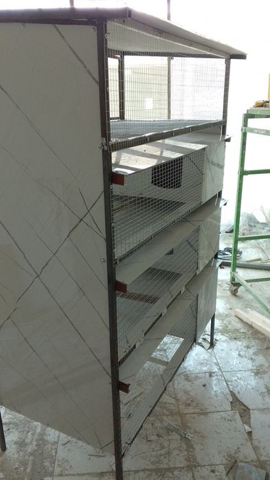 Килеткалар куёонлар учун