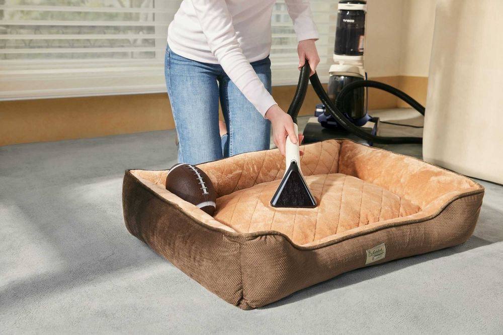 Aspirator de curățat covoare iCarpet, uscare puternică la 75°C, MS134