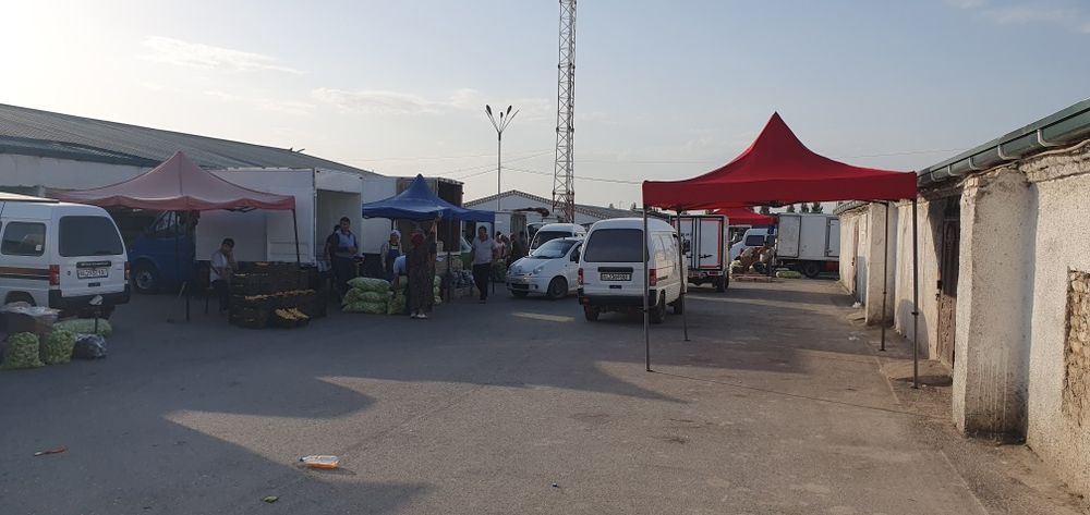 Zontik. Soyabon. Samarkand