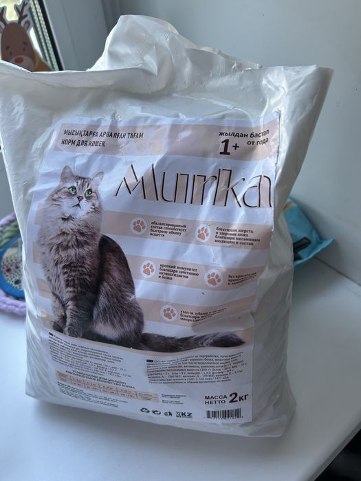 Отдадим кошечку в хорошие руки!
