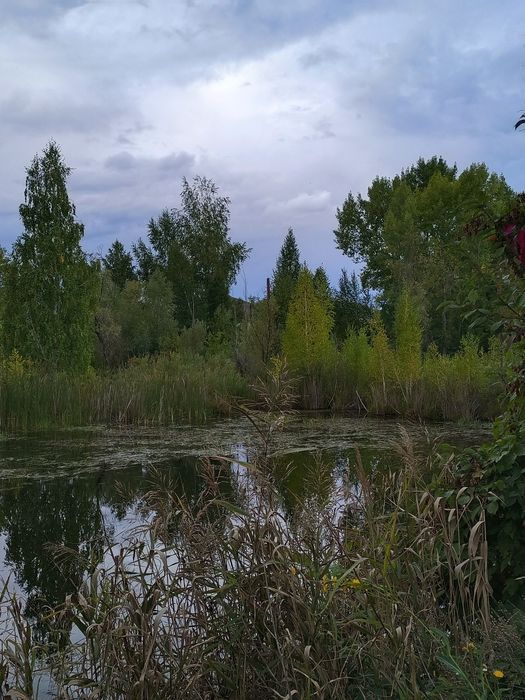 Дача в горной Ульбинке