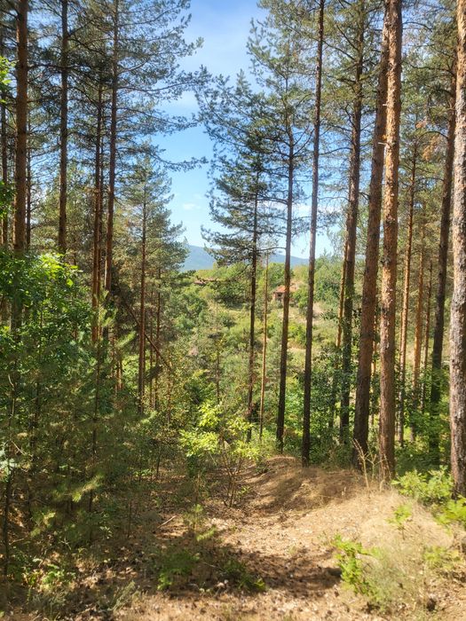 Парцел в регулация с. ОЧУША Софийска област