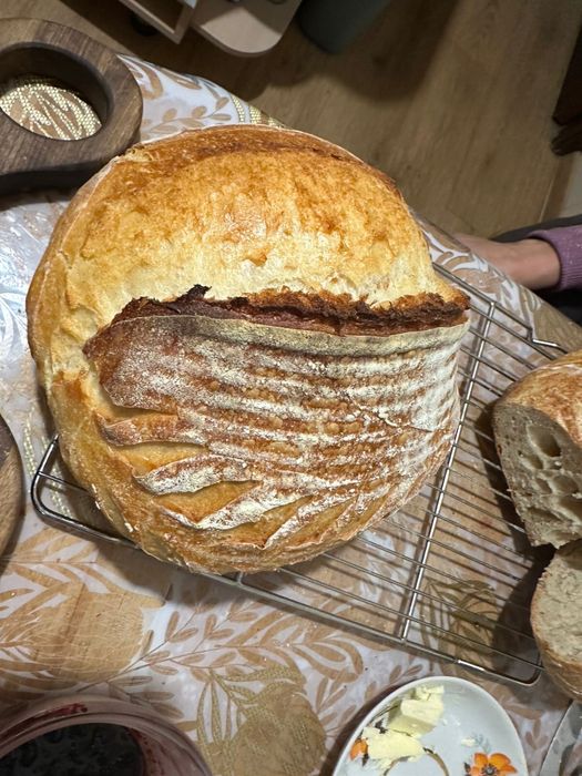 Закваска хлебная