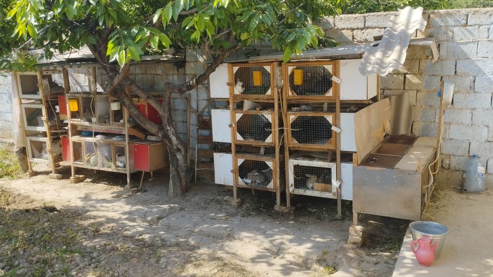 Клетка для кроликов, Quyonlar uchun qafas