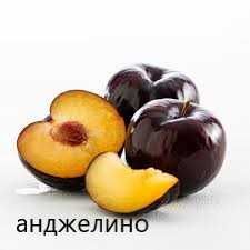 Слива - Анджелино , Черен диамант , Черен Сплендор и Слива - Ту-Сун