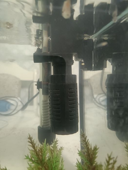 Ппродам гуппи мальков от 200 тенге