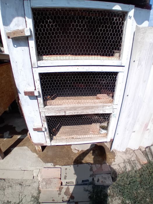 Vând 2 cuști!! 200 de lei bucata !