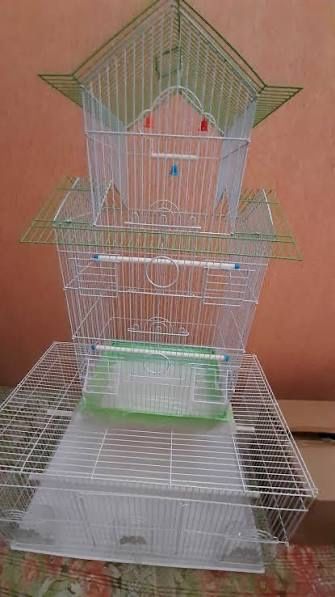 Клетки разного размера