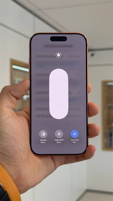 iPhone 17 Pro | 256 GB