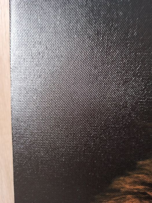 Продается картина фотопринт