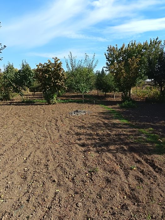 Casă complet renovată și consolidată, 116 mp, teren 1104 mp – Comuna Piscu, jud. Galați (Strada Principală)