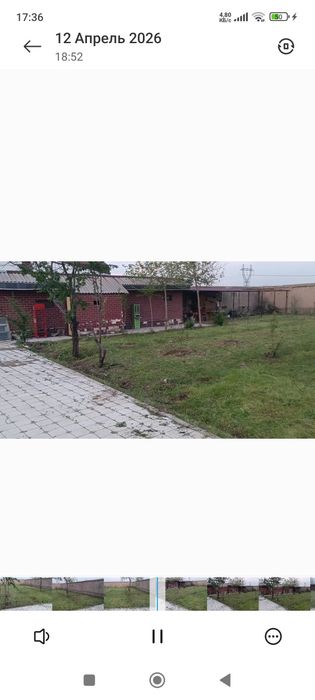 Тошкент вилояти Тойтепа Акмал Икром дала ховли
ҚУРУҚ ЙЕР, ТЕПЛИЦА ПАРН