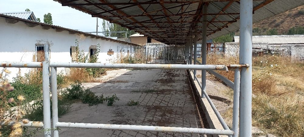 Ferma sotiladi .daca zona