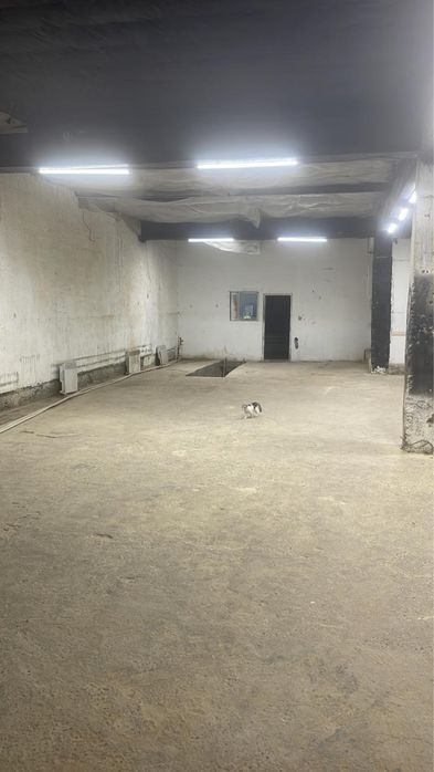 Сдам в аренду помещение