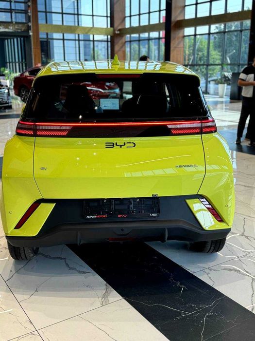 Seagull  405KM  FLYING 2024