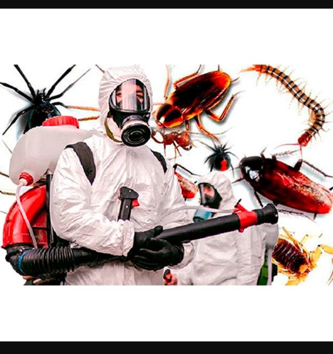 Дизинфекция Дизинсекция Дератизация от всех видов насекомых.