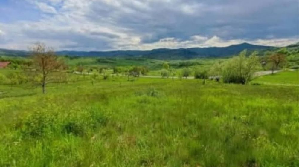 Teren intravilan de vânzare Rona de Jos , Maramureș
