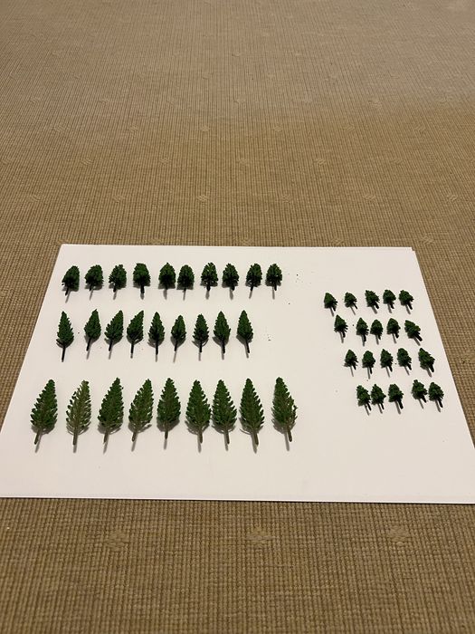 Brazi, pomi, copaci in miniatura