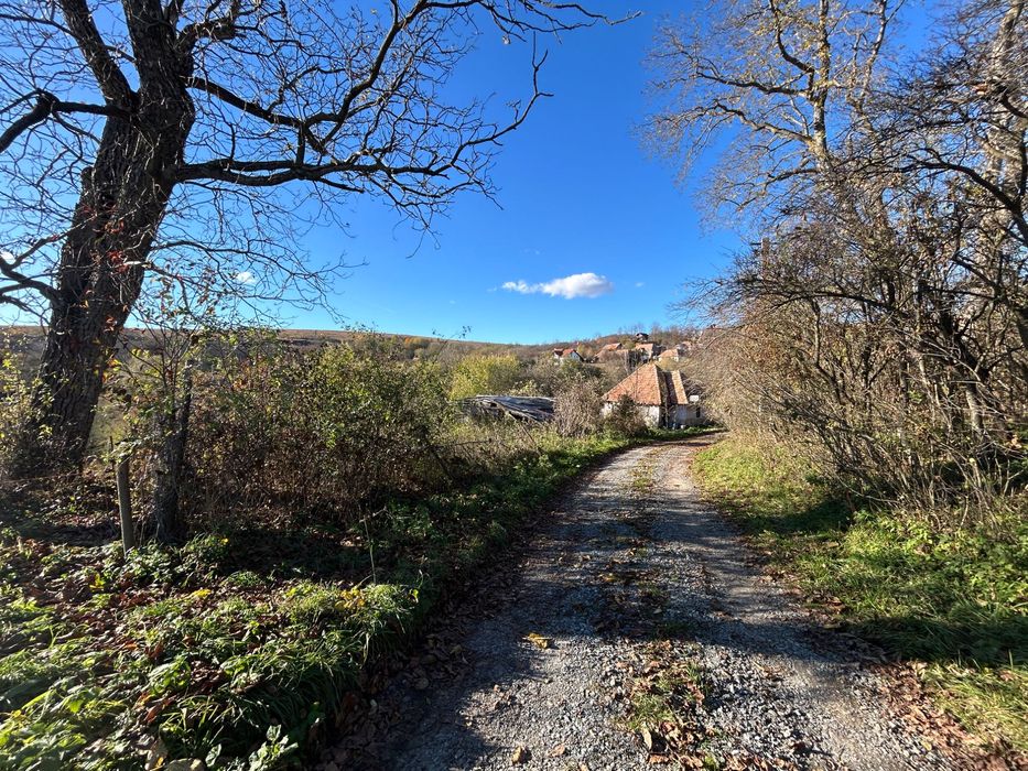 Vinde Teren intravilan 1.415 mp Zonă premium Comuna Ciurila 65 €/mp