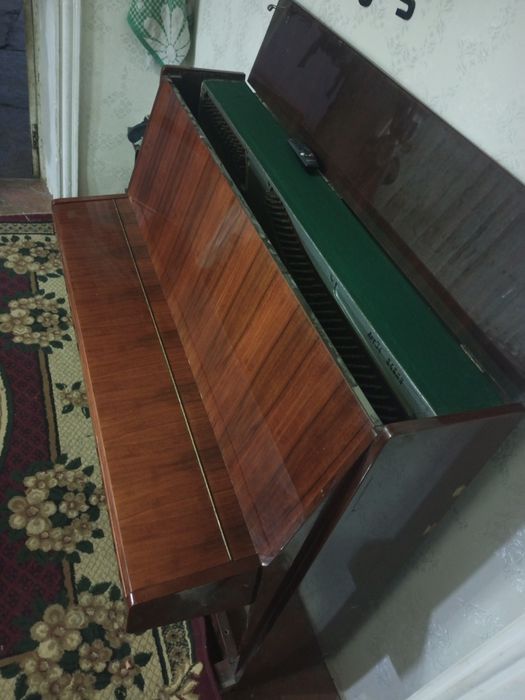 Piyanino.  Eng zori.