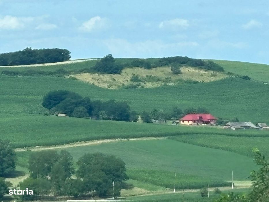 Fanate - Proprietate cu domeniu