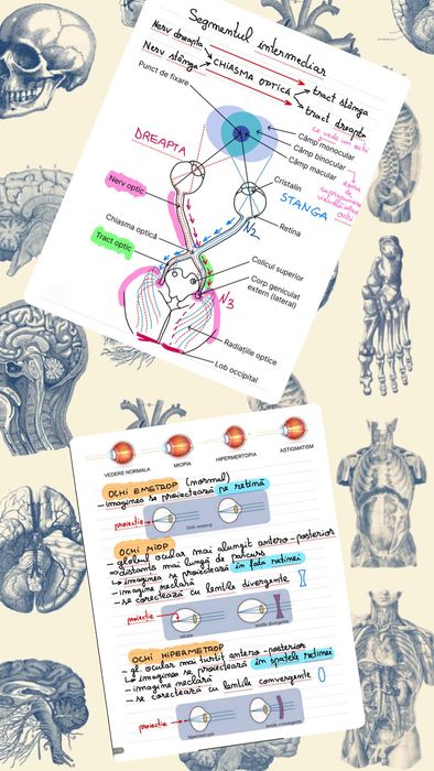 Meditatii biologie Admitere si Bac