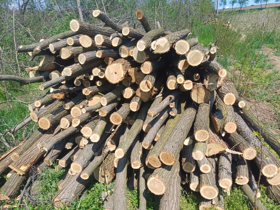 Vand Stâlpi salcâm.