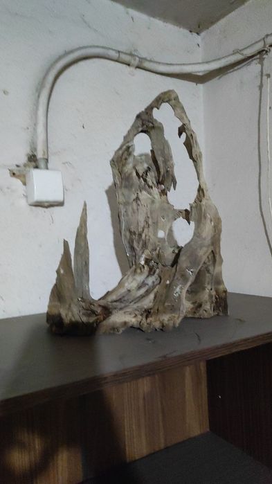 Cioata acvaristica