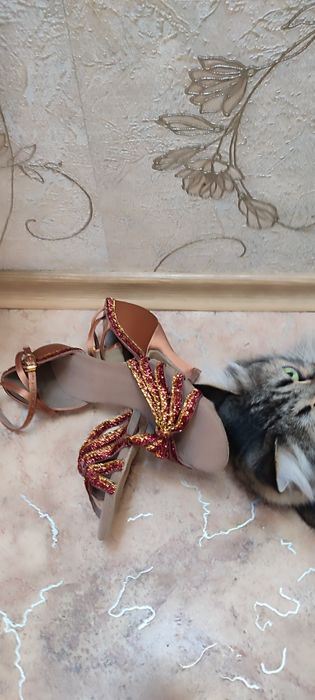 Туфли для бальных танцев