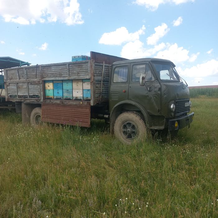 Продам пасеку в сцепке!!!