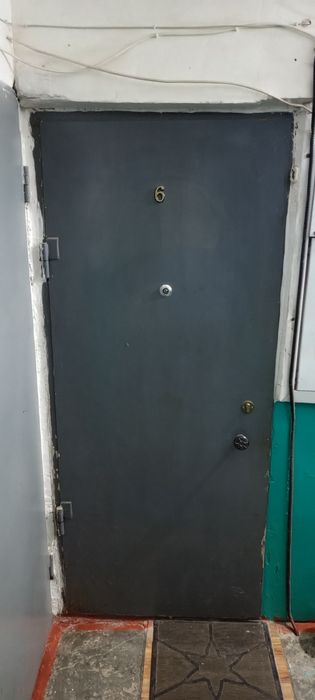 Дверь металлическая.