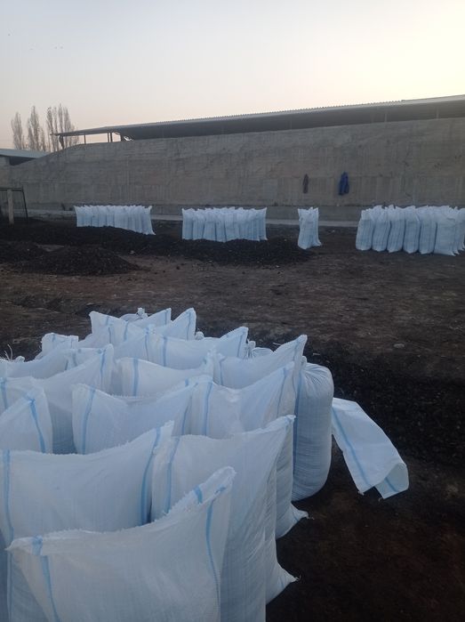 Biogomus chuvalchang