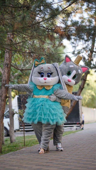 Костюм аниматора