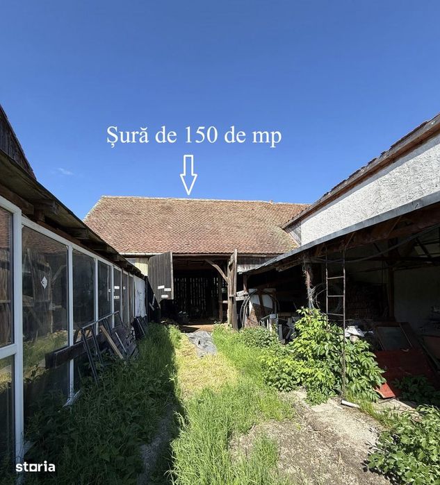 Casă + curte în centrul localității Şura Mică- direct de la proprietar