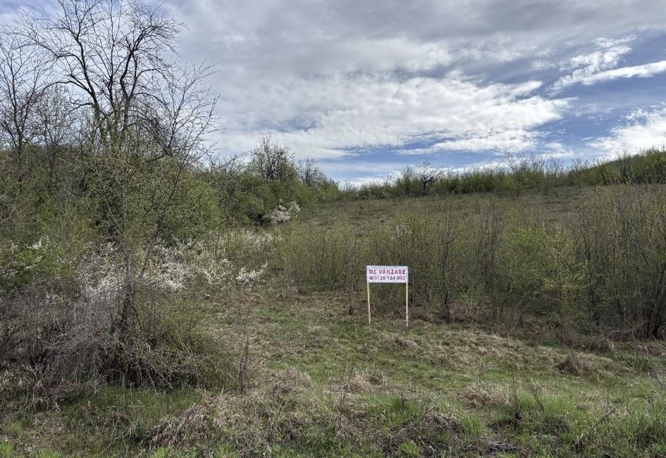 Loturi de teren de vanzare pe strada Salcâmilor