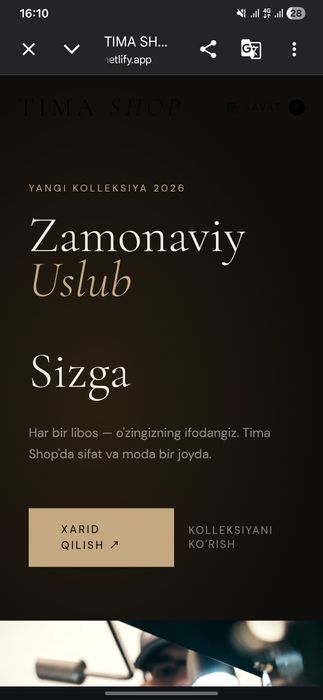 Professional Bizneslar uchun sayt yaratamiz