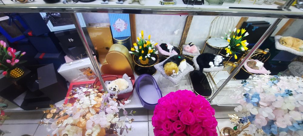 Красивые цветыдля вашего дома